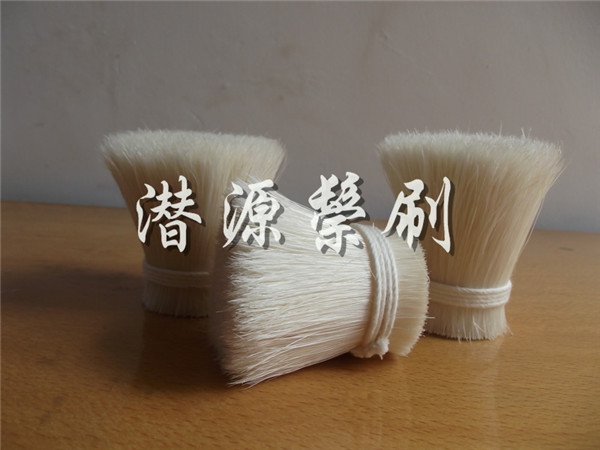 Ư������