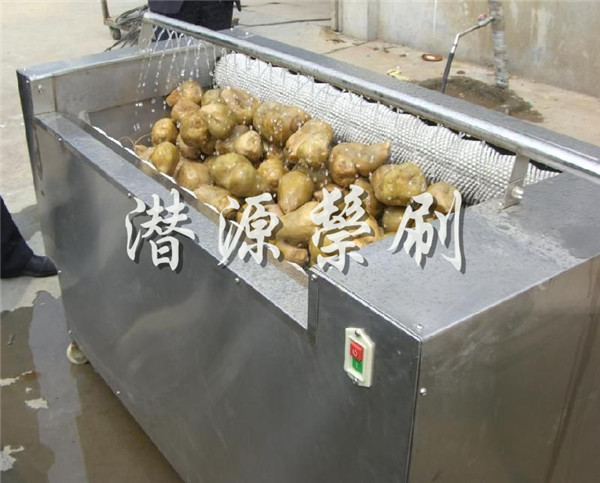 ������ϴ��ëˢ��