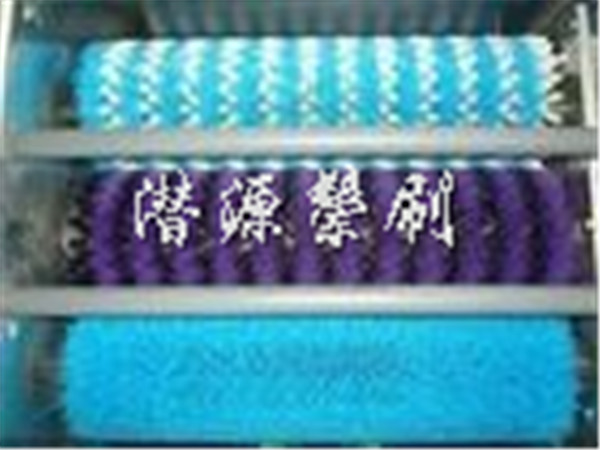 ������ֳ������ϴ��ëˢ��