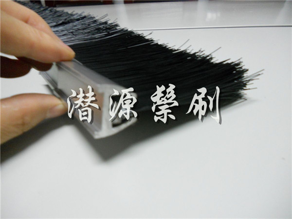 ���ŷ��ݰ�ȫëˢ