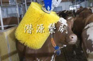 �綯��ţ��Ħˢ